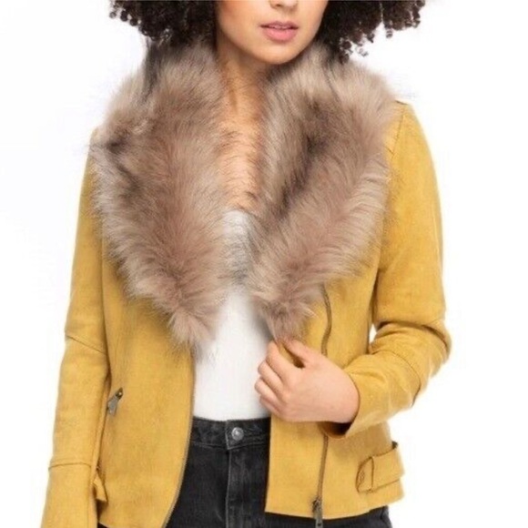 LA Coalition - Picture 1 of 11